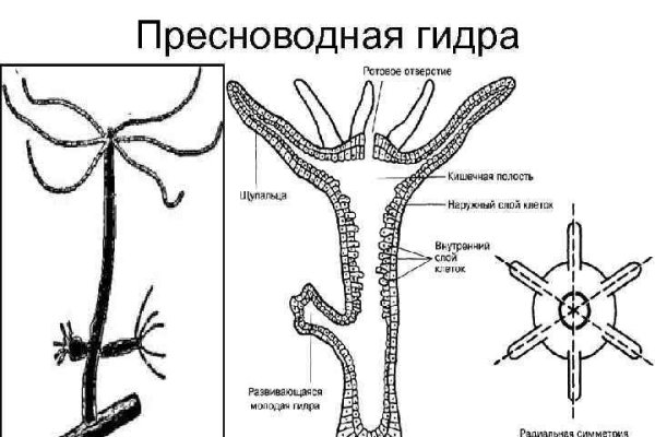 Забанили аккаунт на меге что делать