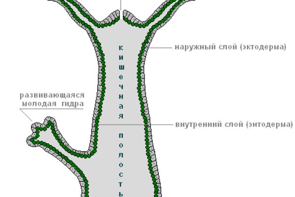 Блэкспрут сайт в тор браузере ссылка