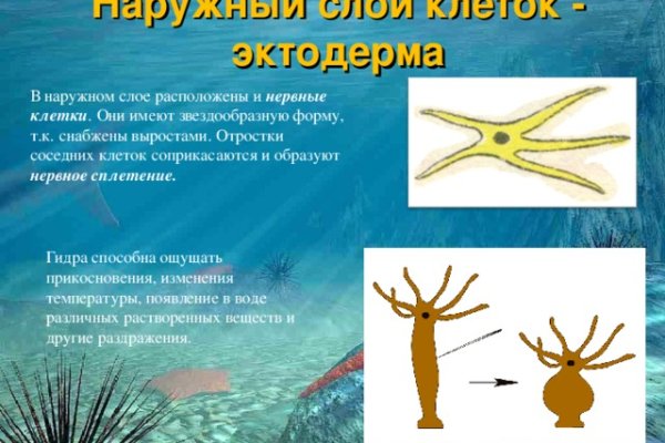 Купить гашиш экстази мефедрон